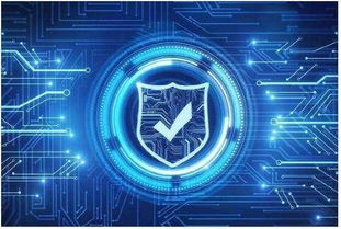 如何確保獨立服務器安全性能 網絡科技開發(fā)者的實踐指南